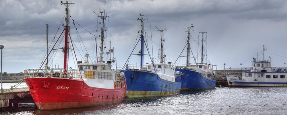 El Ejecutivo aprobó iniciativas para agilizar ejecución de obras y la industria pesquera