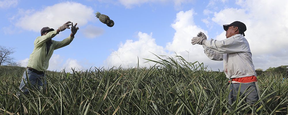 Congreso Nacional de Agroexportación No Tradicional analizará retos y desafíos del sector