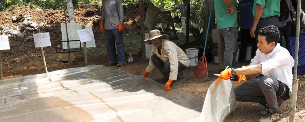 MIAMBIENTE LIDERA PROYECTO PILOTO PARA LA REUTILIZACIÓN DE LODO PARA EL CRECIMIENTO RÁPIDO DE LOS PLANTONES FORESTALES